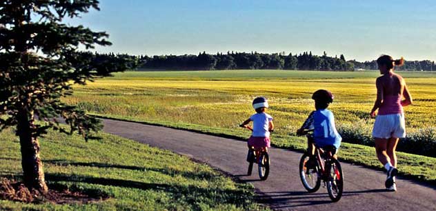 Wildrose Trail System